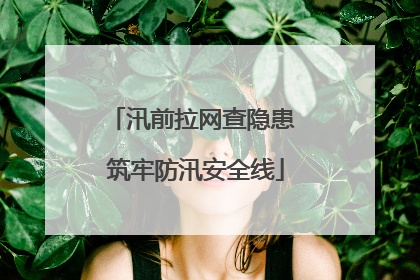 汛前拉网查隐患 筑牢防汛安全线