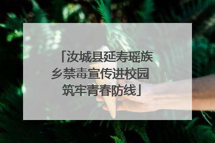 汝城县延寿瑶族乡禁毒宣传进校园 筑牢青春防线