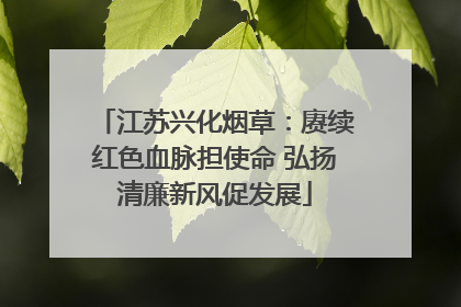 江苏兴化烟草：赓续红色血脉担使命 弘扬清廉新风促发展