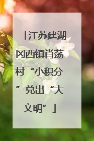 江苏建湖冈西镇肖荡村“小积分”兑出“大文明”