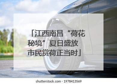 江西南昌“荷花秘境”夏日盛放 市民赏荷正当时