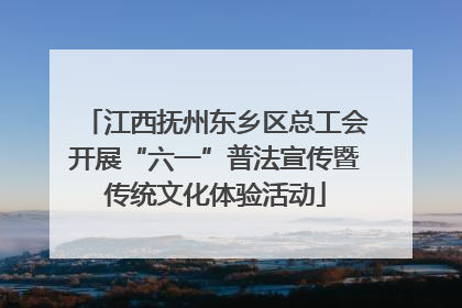 江西抚州东乡区总工会开展“六一”普法宣传暨传统文化体验活动