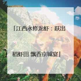 江西永修龙虾：跃出稻虾田 飘香京城宴