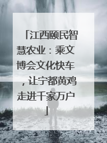 江西颐民智慧农业：乘文博会文化快车，让宁都黄鸡走进千家万户