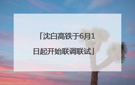沈白高铁于6月1日起开始联调联试