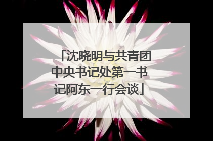 沈晓明与共青团中央书记处第一书记阿东一行会谈