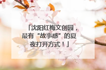 沈阳红梅文创园，最有“故事感”的夏夜打开方式！