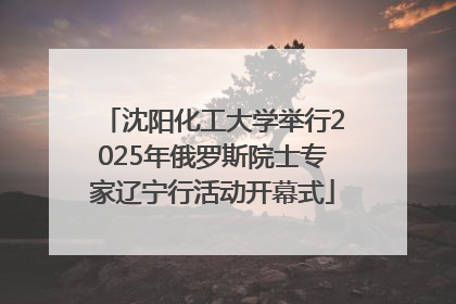 沈阳化工大学举行2025年俄罗斯院士专家辽宁行活动开幕式