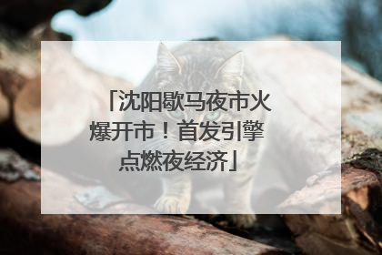 沈阳歇马夜市火爆开市！首发引擎点燃夜经济