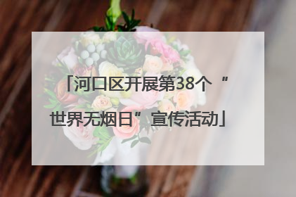 河口区开展第38个“世界无烟日”宣传活动