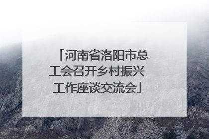 河南省洛阳市总工会召开乡村振兴工作座谈交流会