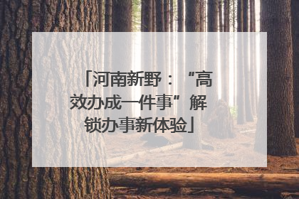 河南新野：“高效办成一件事”解锁办事新体验