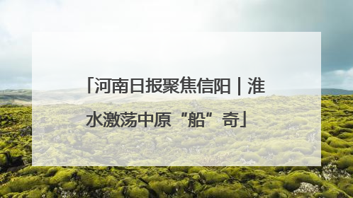 河南日报聚焦信阳｜淮水激荡中原“船”奇