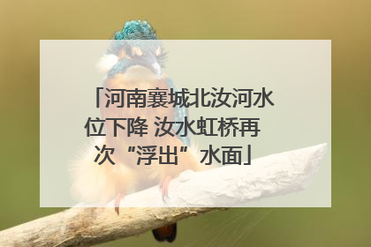 河南襄城北汝河水位下降 汝水虹桥再次“浮出”水面
