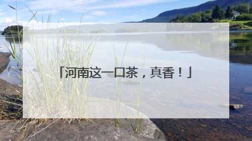 河南这一口茶，真香！