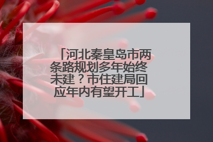 河北秦皇岛市两条路规划多年始终未建？市住建局回应年内有望开工