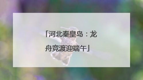 河北秦皇岛：龙舟竞渡迎端午