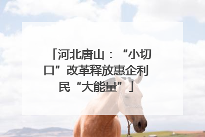 河北唐山：“小切口”改革释放惠企利民“大能量”