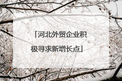河北外贸企业积极寻求新增长点