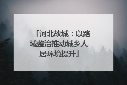 河北故城：以路域整治推动城乡人居环境提升