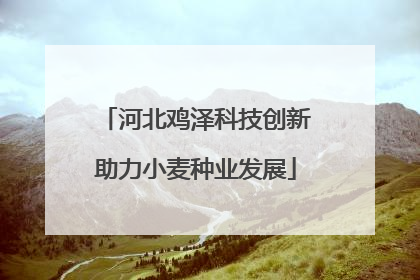 河北鸡泽科技创新助力小麦种业发展