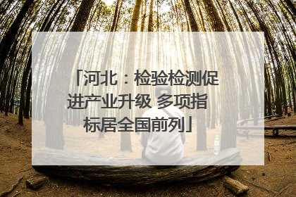 河北：检验检测促进产业升级 多项指标居全国前列