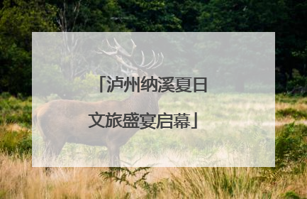 泸州纳溪夏日文旅盛宴启幕