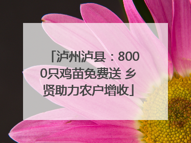 泸州泸县：8000只鸡苗免费送 乡贤助力农户增收