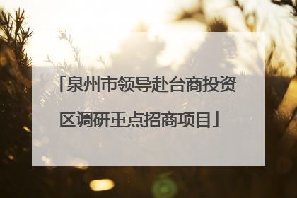泉州市领导赴台商投资区调研重点招商项目