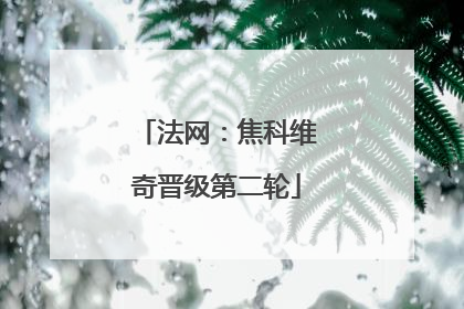 法网：焦科维奇晋级第二轮