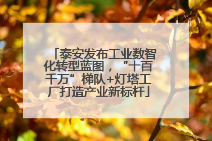 泰安发布工业数智化转型蓝图，“十百千万”梯队+灯塔工厂打造产业新标杆