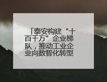 泰安构建“十百千万”企业梯队，推动工业企业向数智化转型2.0版升级