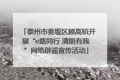泰州市姜堰区顾高镇开展“e路同行 清朗有我”网络辟谣宣传活动