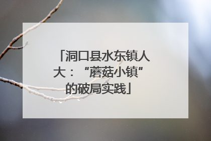 洞口县水东镇人大：“蘑菇小镇”的破局实践