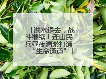 洪水退去，战斗继续！连山民兵昼夜清淤打通“生命通道”