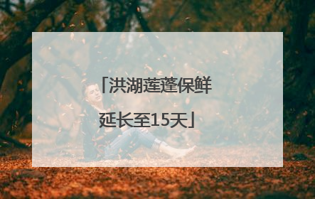 洪湖莲蓬保鲜延长至15天