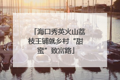 海口秀英火山荔枝王铺就乡村“甜蜜”致富路