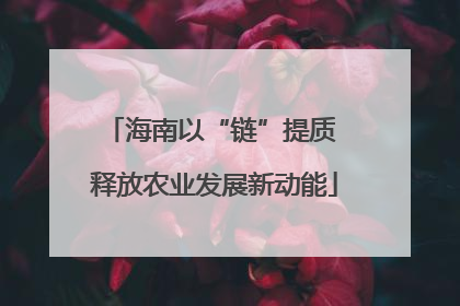 海南以“链”提质 释放农业发展新动能