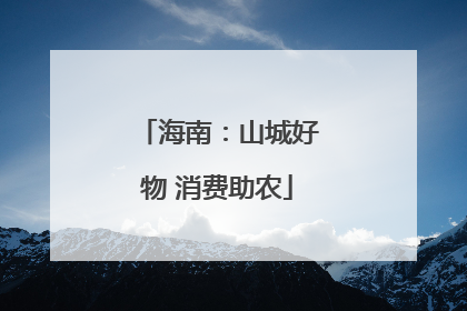 海南：山城好物 消费助农