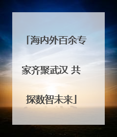 海内外百余专家齐聚武汉 共探数智未来