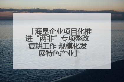 海垦企业项目化推进“两非”专项整改复耕工作 规模化发展特色产业