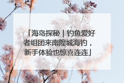海岛探秘｜钓鱼爱好者组团来南隍城海钓，新手体验也惊喜连连