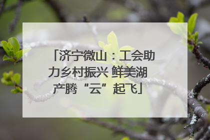 济宁微山：工会助力乡村振兴 鲜美湖产腾“云”起飞