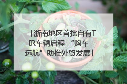 浙南地区首批自有TIR车辆启程 “购车远航”助推外贸发展
