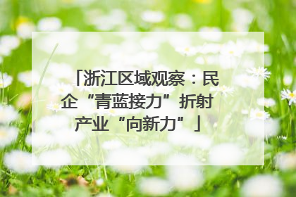 浙江区域观察：民企“青蓝接力”折射产业“向新力”