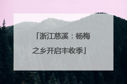 浙江慈溪：杨梅之乡开启丰收季