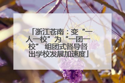 浙江苍南：变“一人一校”为“一团一校” 组团式督导督出学校发展加速度