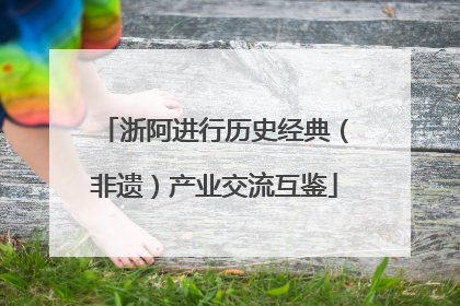 浙阿进行历史经典（非遗）产业交流互鉴