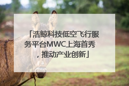 浩鲸科技低空飞行服务平台MWC上海首秀，推动产业创新