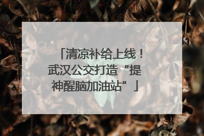 清凉补给上线！武汉公交打造“提神醒脑加油站”